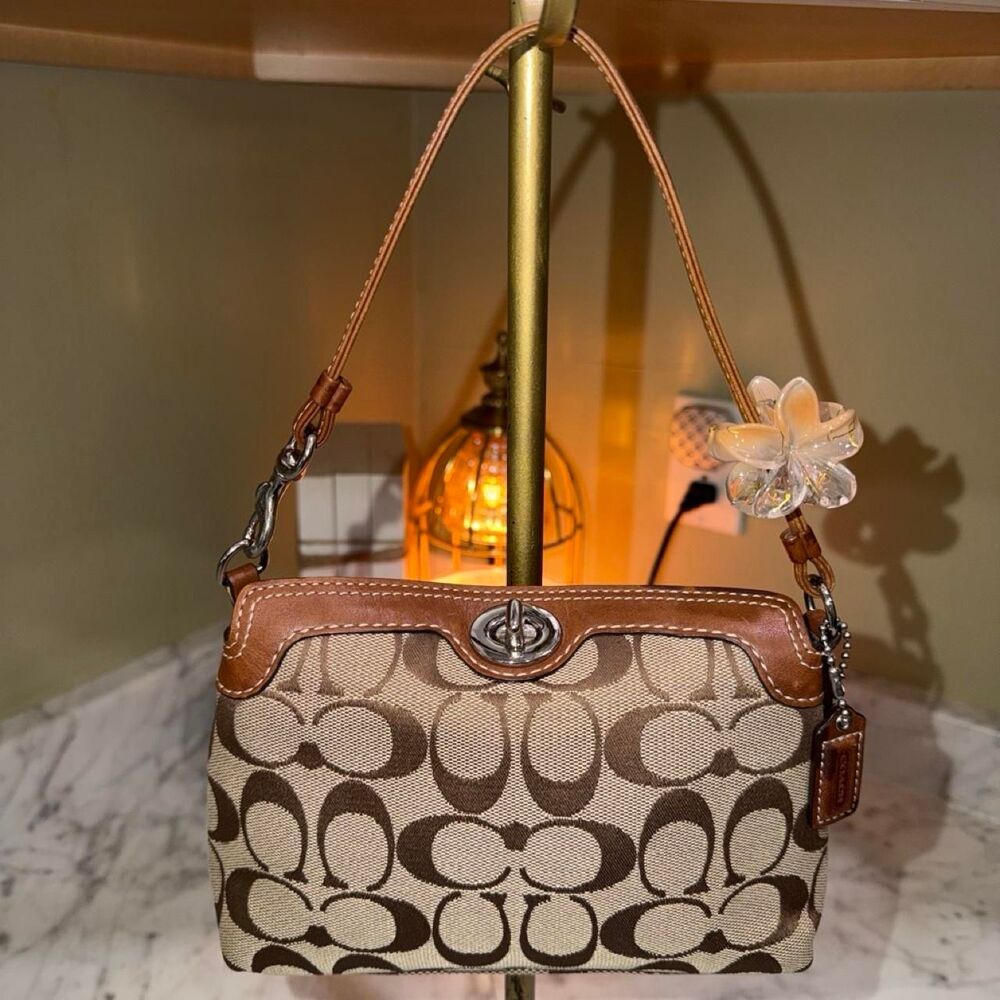 Coach Women's Brown and Tan Bag